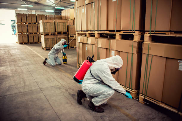 Best Mosquito Control Services  in St Simons, GA
