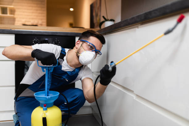 Best Best Pest Control Companies  in St Simons, GA