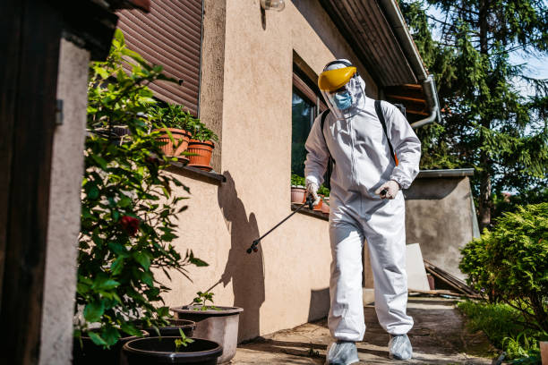 Pest Control Cost in St Simons, GA