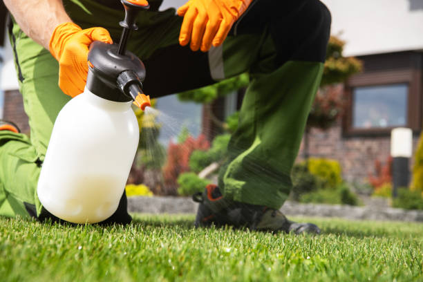 Best Wildlife Control Services  in St Simons, GA