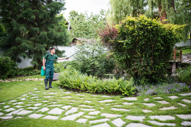 Best Pest Prevention Services  in St Simons, GA