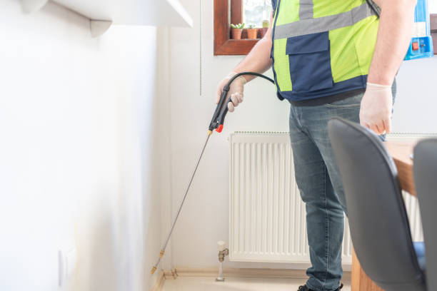 Best Affordable Pest Control Services  in St Simons, GA