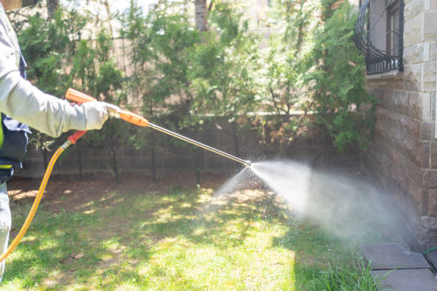 Best Local Pest Control Services  in St Simons, GA