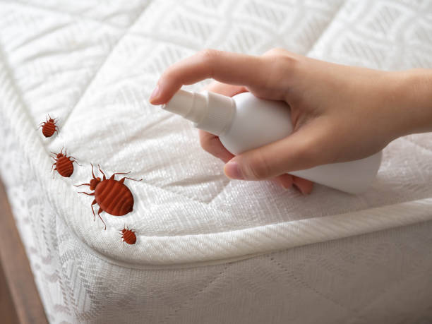 Pest Control for Restaurants in St Simons, GA