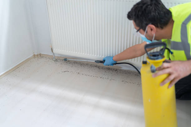 Best Flea Control Services  in St Simons, GA